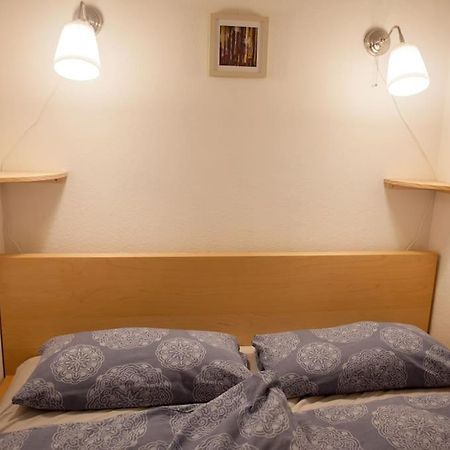 Gemuetliches 2P-Apartment In Ruhiger Lage Dresden Dış mekan fotoğraf